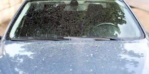Vệ sinh ô tô đúng cách giúp xe an toàn hơn với những bộ phận quan trọng này