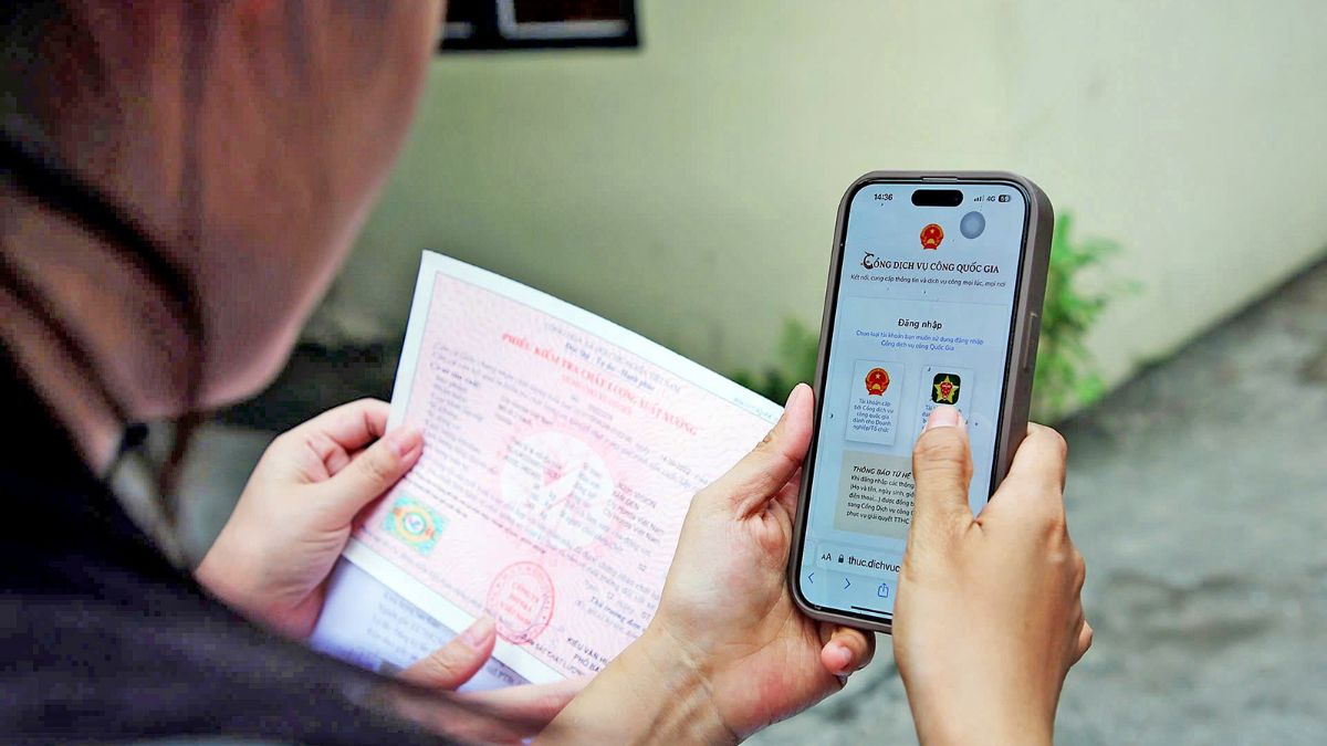 tra cuu phat nguoi dong nai 5