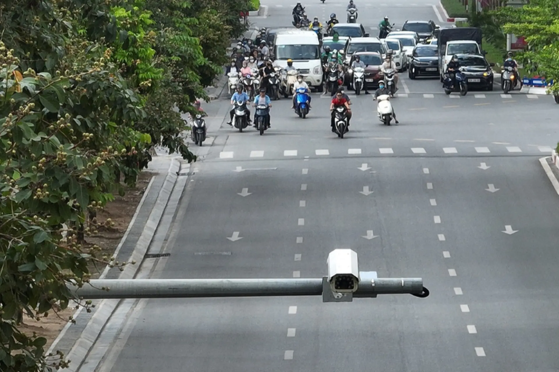 Check phạt nguội xe máy ô tô Khánh Hòa