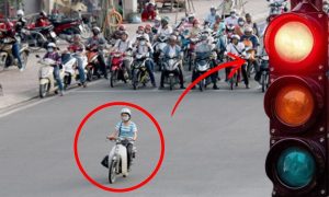 tra cuu phat nguoi vinh phuc 2