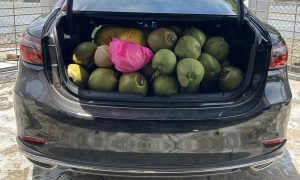 Chở đồ cồng kềnh thế nào để đúng luật và an toàn giao thông?